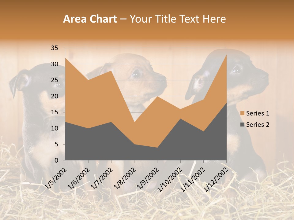 Indoors Ranch Animals PowerPoint Template