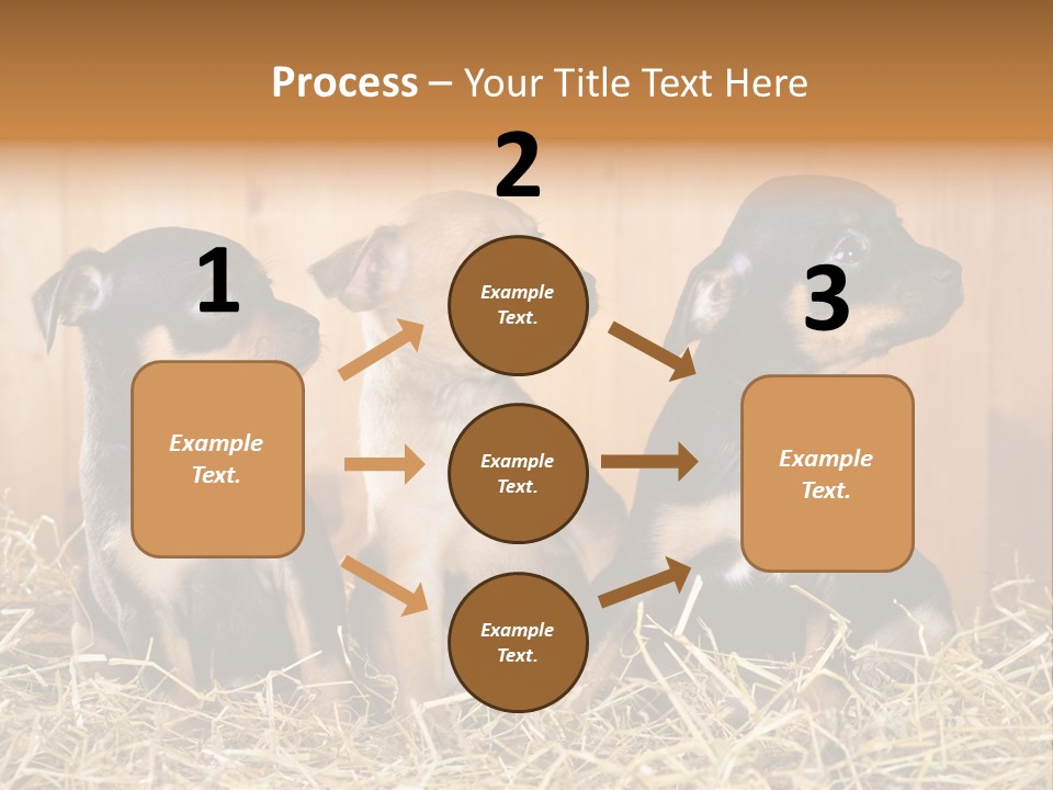 Indoors Ranch Animals PowerPoint Template