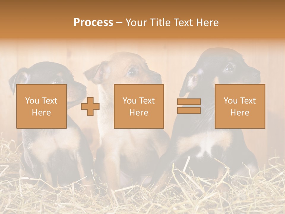 Indoors Ranch Animals PowerPoint Template