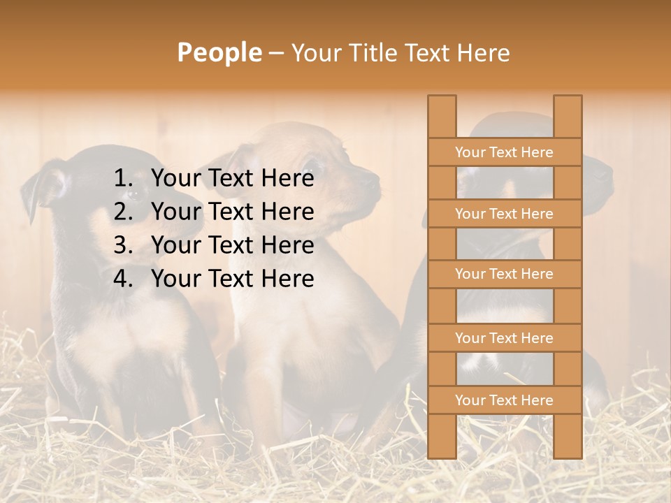 Indoors Ranch Animals PowerPoint Template
