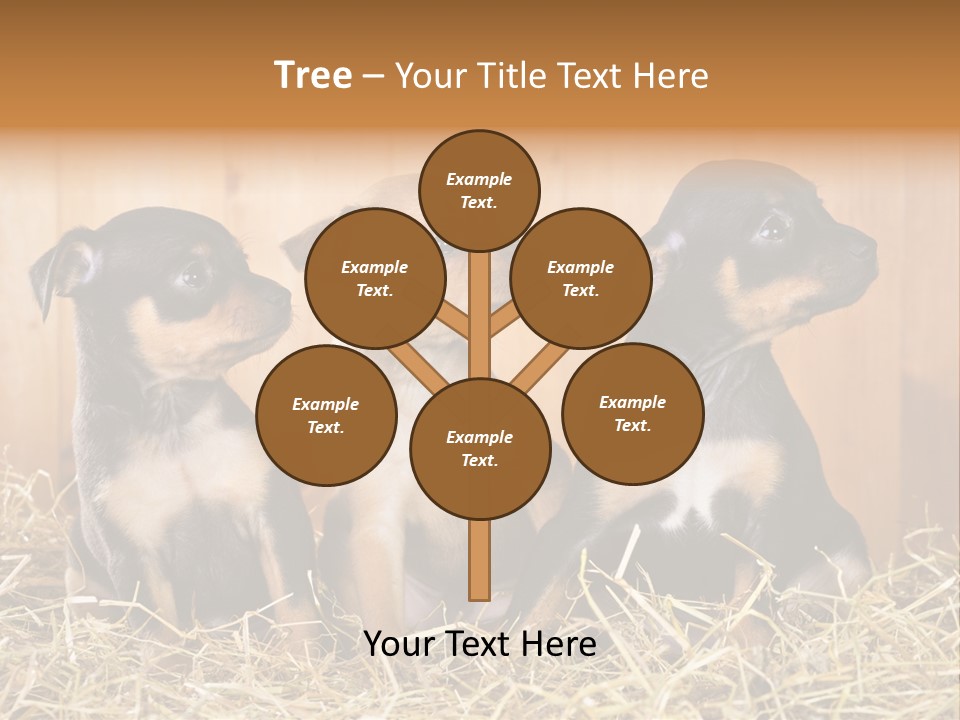 Indoors Ranch Animals PowerPoint Template