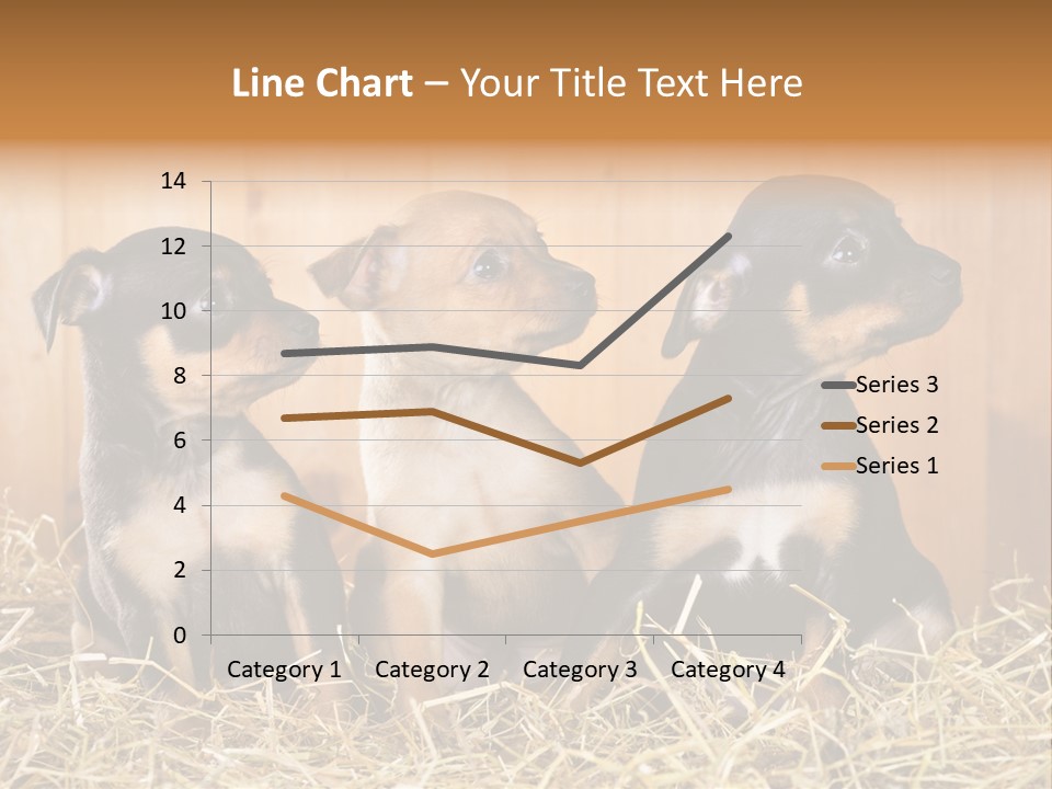 Indoors Ranch Animals PowerPoint Template
