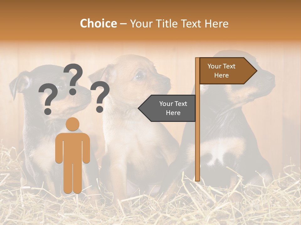 Indoors Ranch Animals PowerPoint Template