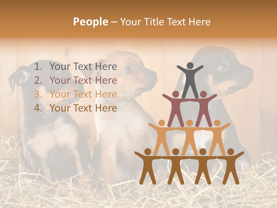 Indoors Ranch Animals PowerPoint Template