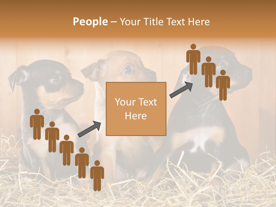 Indoors Ranch Animals PowerPoint Template