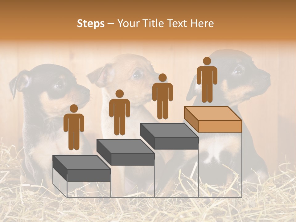 Indoors Ranch Animals PowerPoint Template