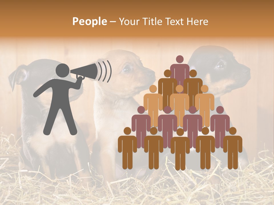 Indoors Ranch Animals PowerPoint Template