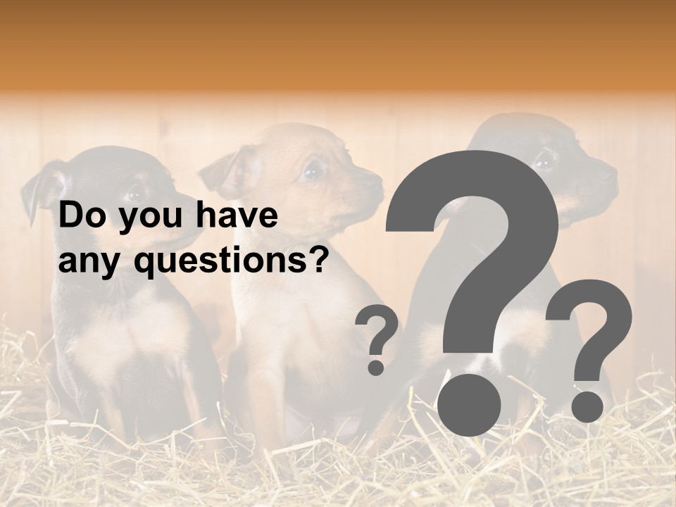 Indoors Ranch Animals PowerPoint Template