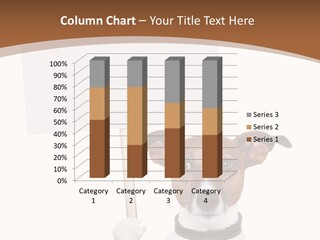 Festive Isolated Text PowerPoint Template