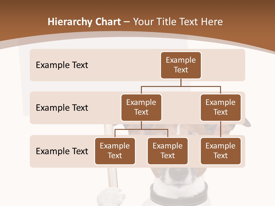 Festive Isolated Text PowerPoint Template
