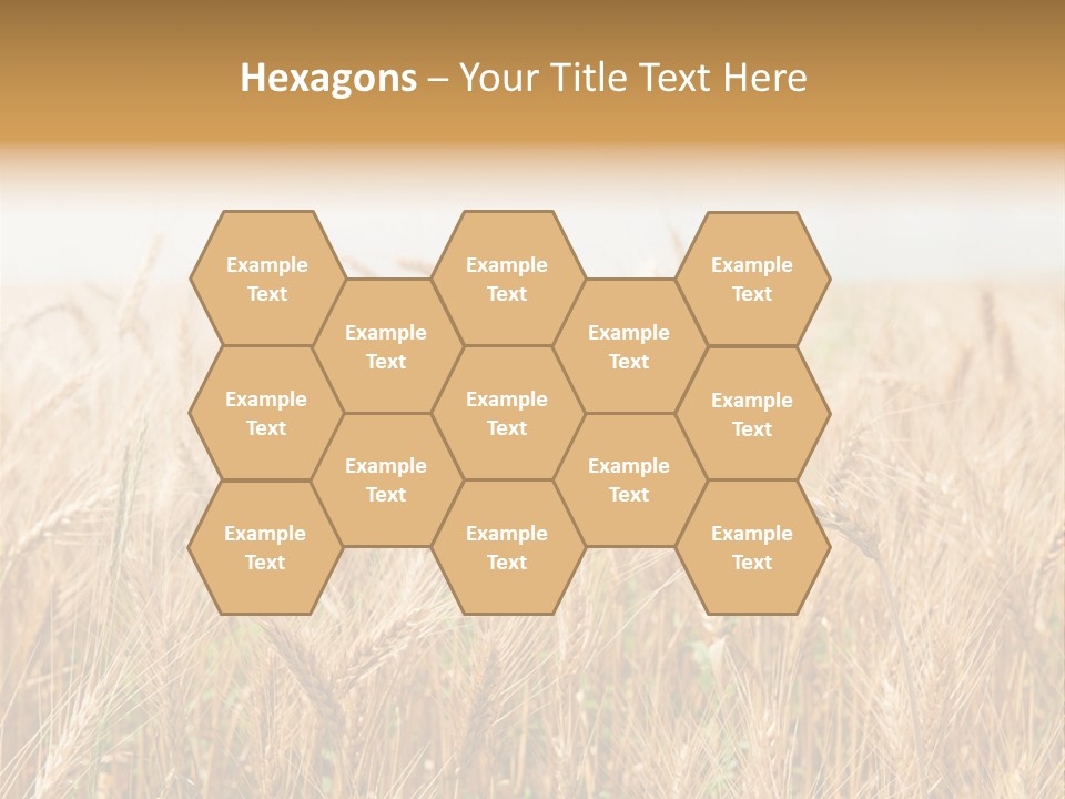 White Bright Agriculture PowerPoint Template