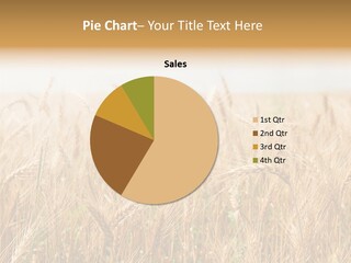 White Bright Agriculture PowerPoint Template