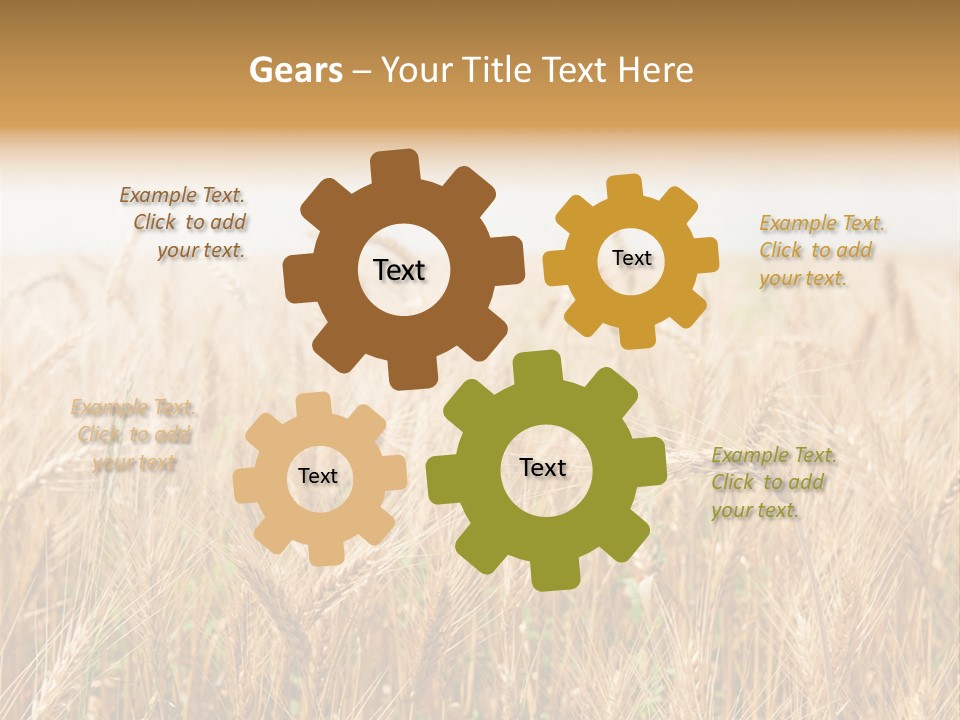 White Bright Agriculture PowerPoint Template