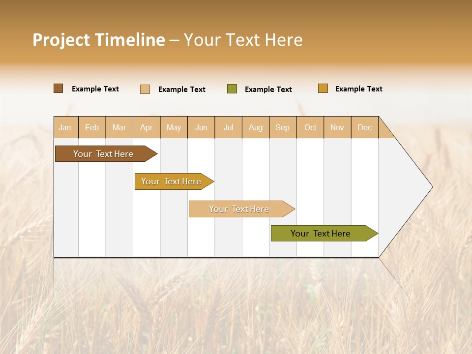 White Bright Agriculture PowerPoint Template