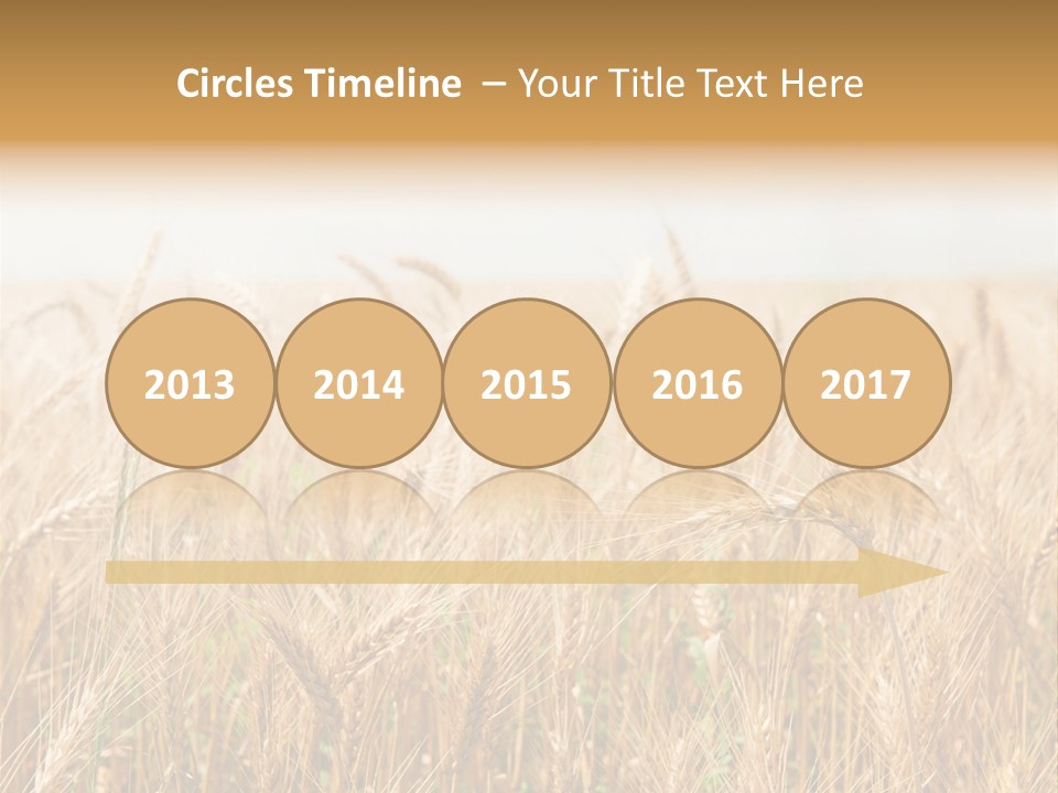 White Bright Agriculture PowerPoint Template