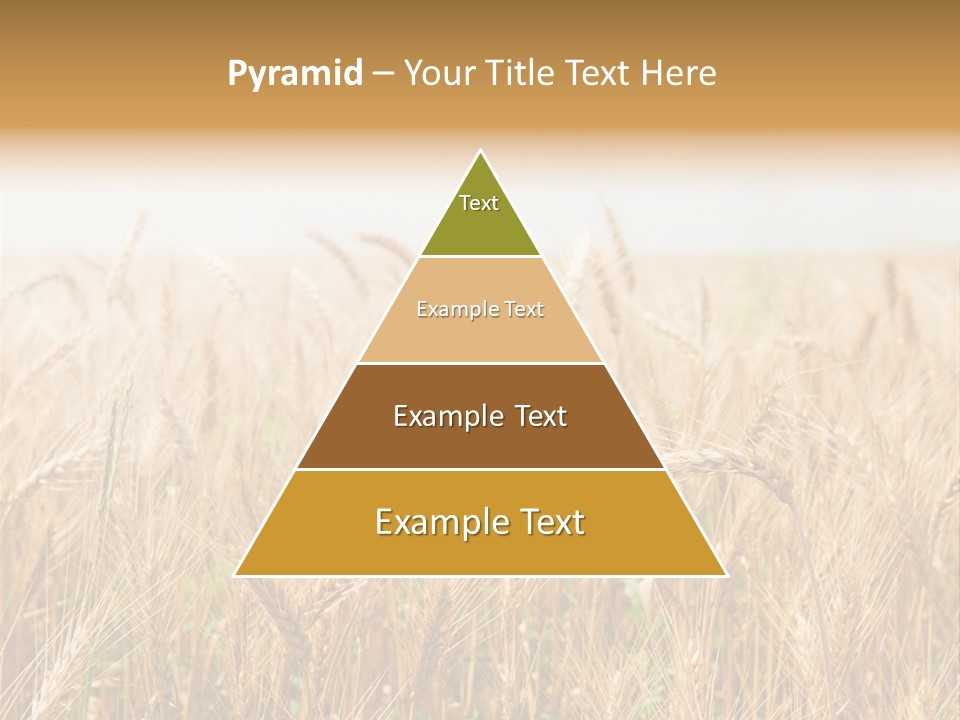 White Bright Agriculture PowerPoint Template
