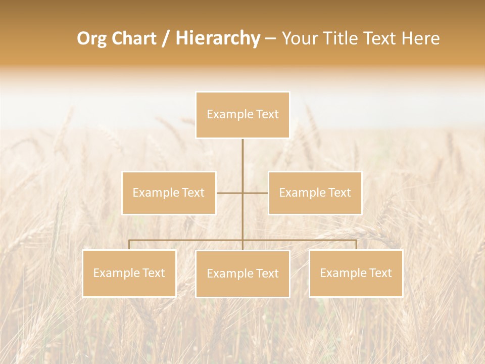 White Bright Agriculture PowerPoint Template