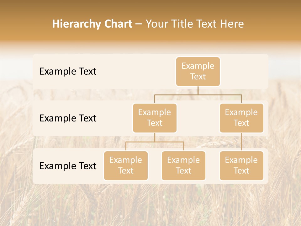 White Bright Agriculture PowerPoint Template