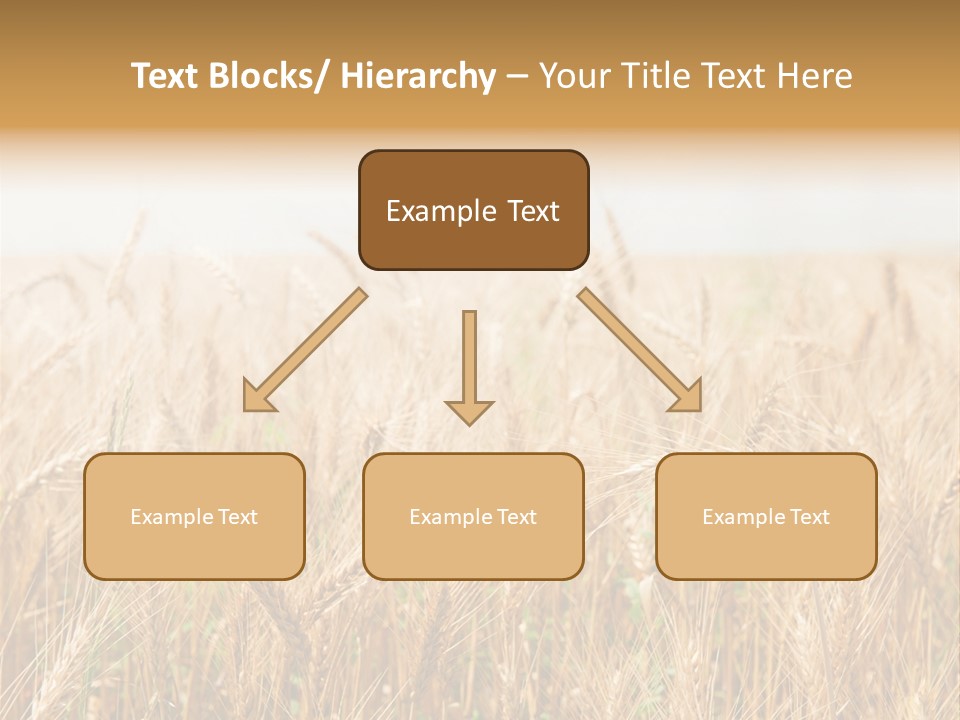 White Bright Agriculture PowerPoint Template