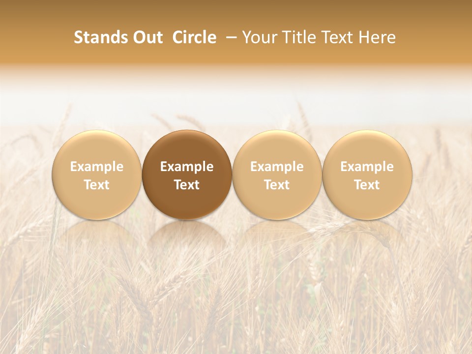 White Bright Agriculture PowerPoint Template