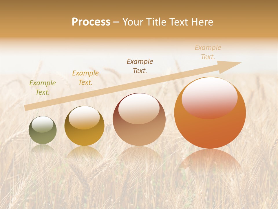 White Bright Agriculture PowerPoint Template