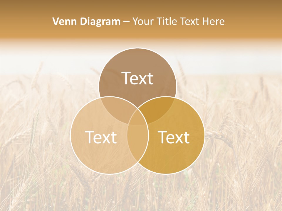 White Bright Agriculture PowerPoint Template