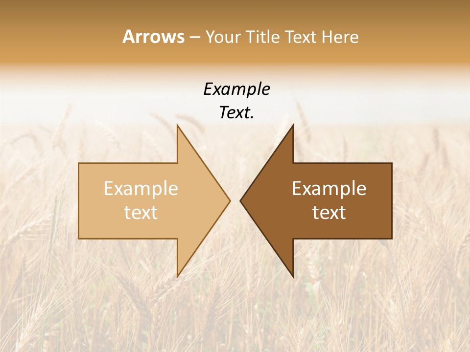 White Bright Agriculture PowerPoint Template
