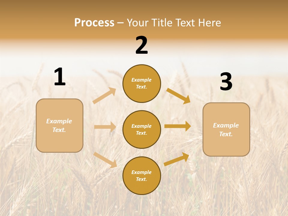 White Bright Agriculture PowerPoint Template