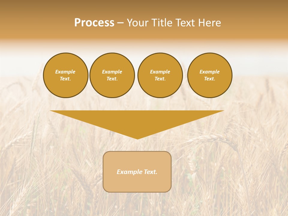 White Bright Agriculture PowerPoint Template