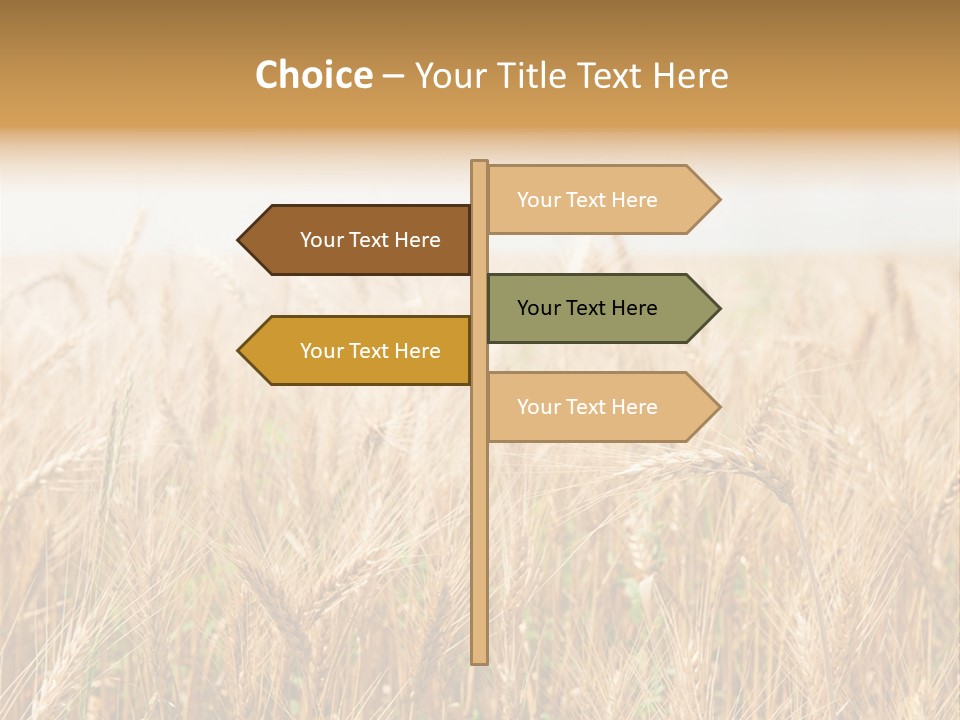 White Bright Agriculture PowerPoint Template