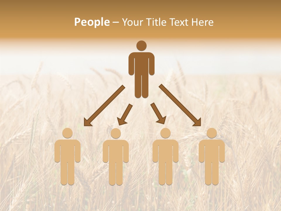 White Bright Agriculture PowerPoint Template