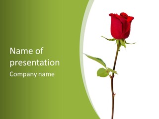 Design Red Close PowerPoint Template