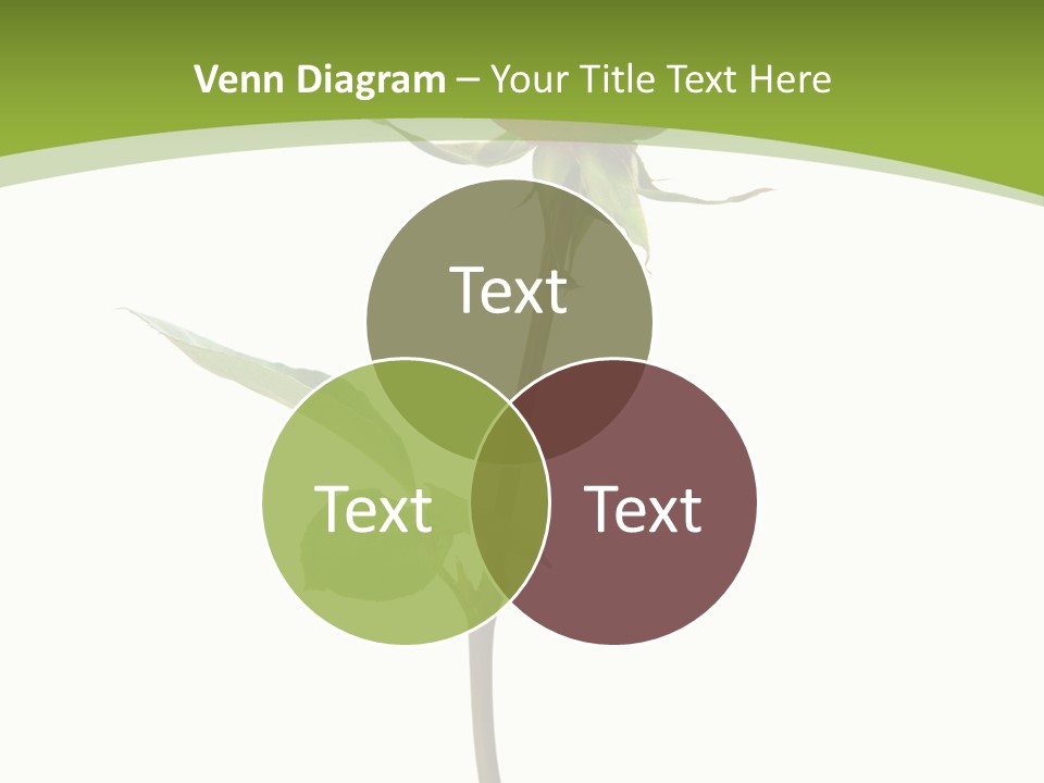 Design Red Close PowerPoint Template