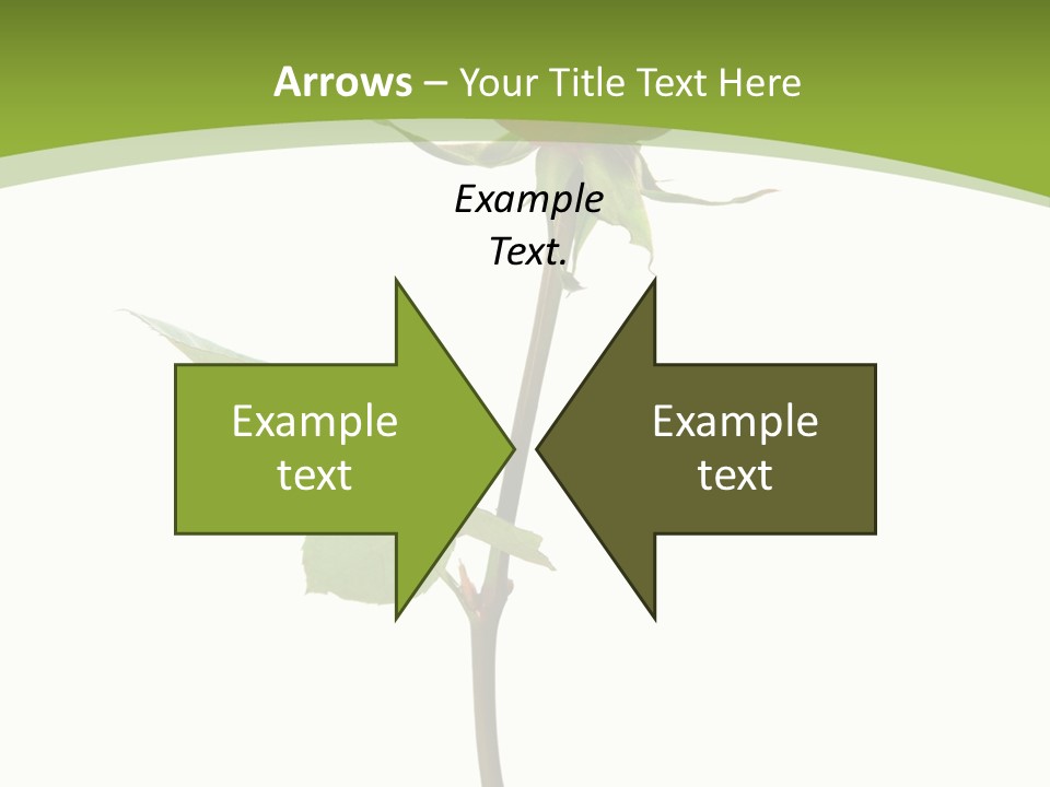 Design Red Close PowerPoint Template