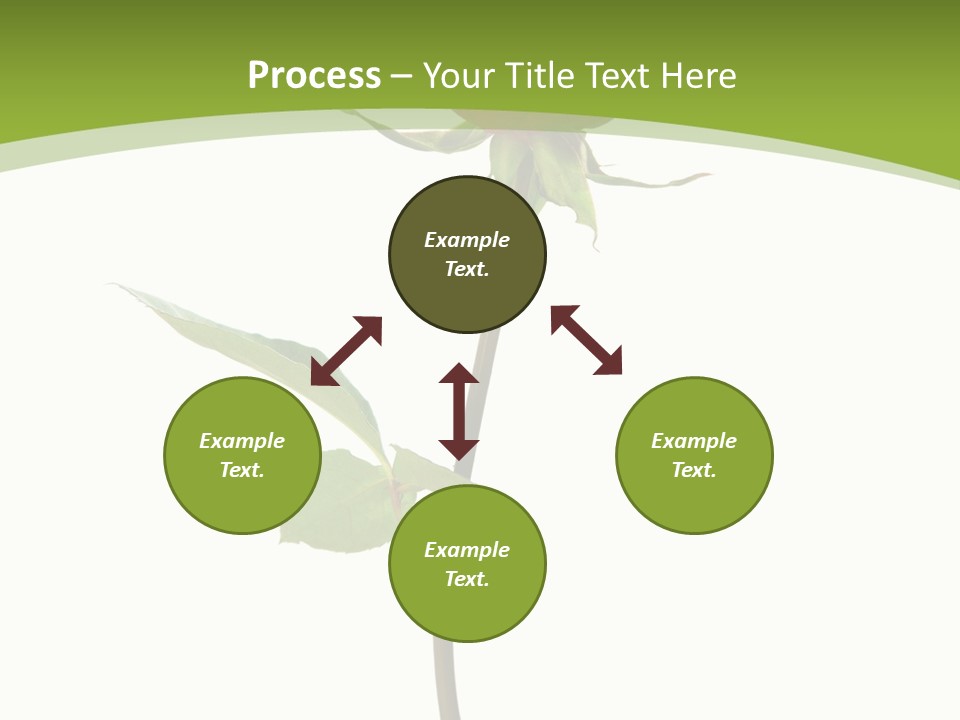 Design Red Close PowerPoint Template