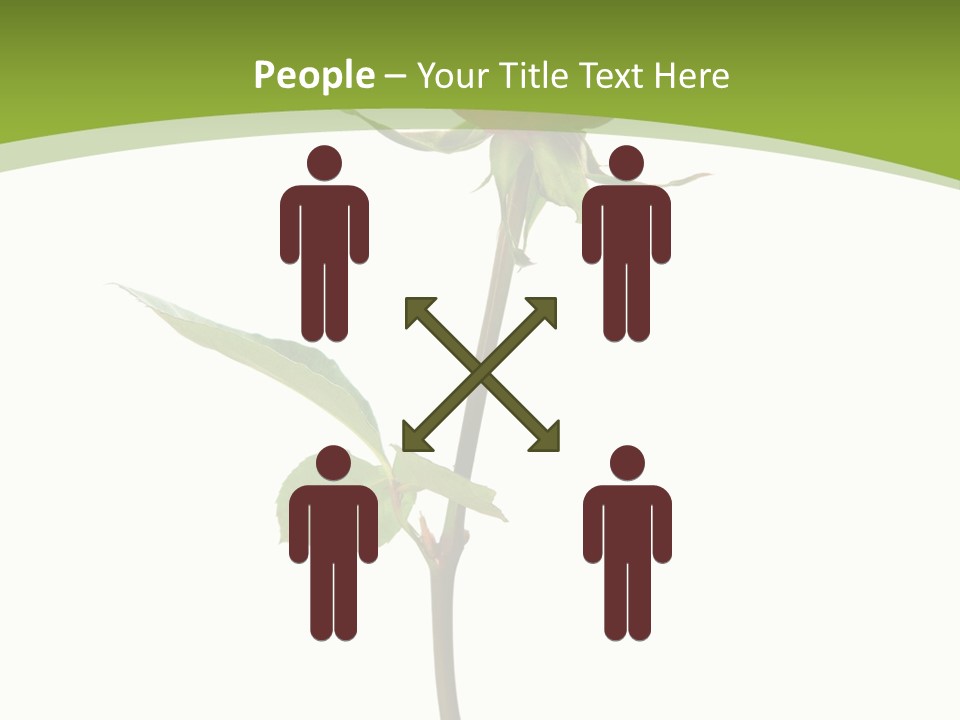 Design Red Close PowerPoint Template