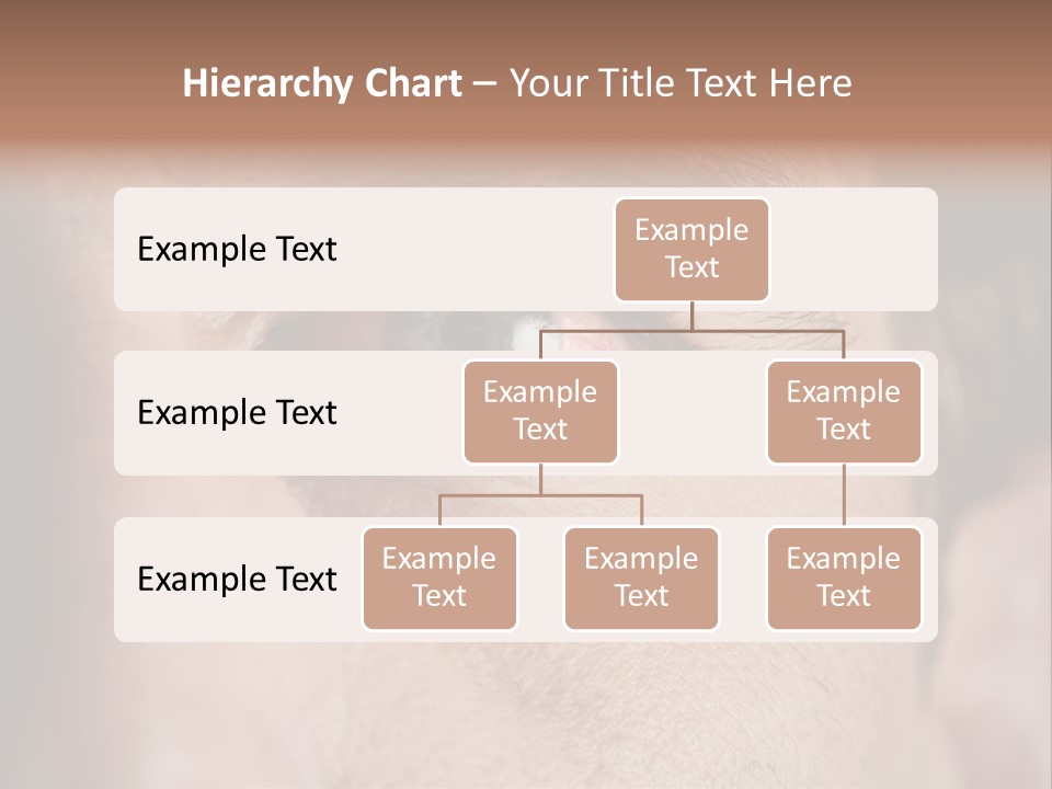 Stressed  Bacteria PowerPoint Template