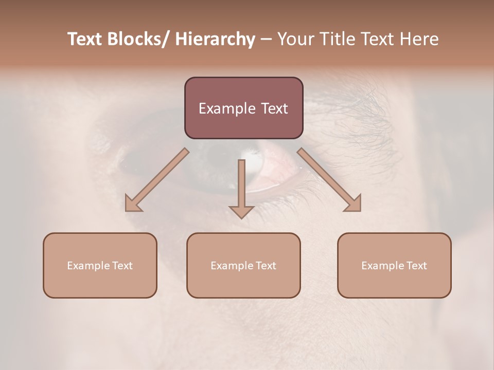 Stressed  Bacteria PowerPoint Template