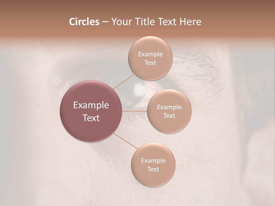 Stressed  Bacteria PowerPoint Template