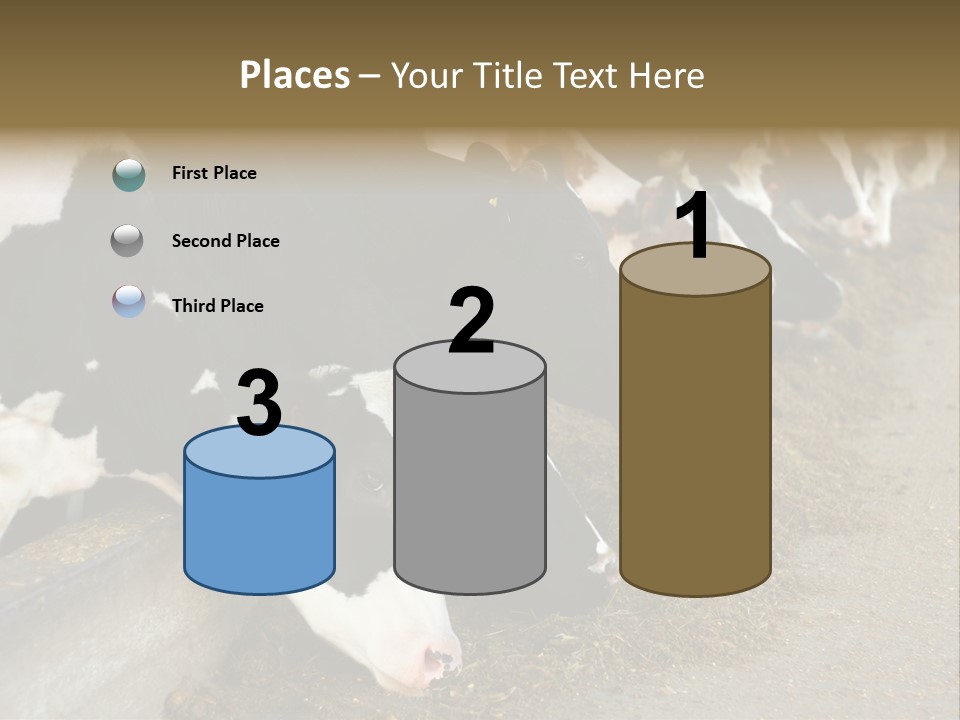 Domestic Animals Feeding Production PowerPoint Template