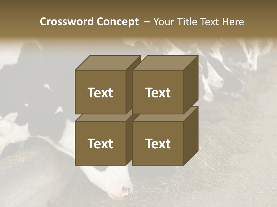 Domestic Animals Feeding Production PowerPoint Template