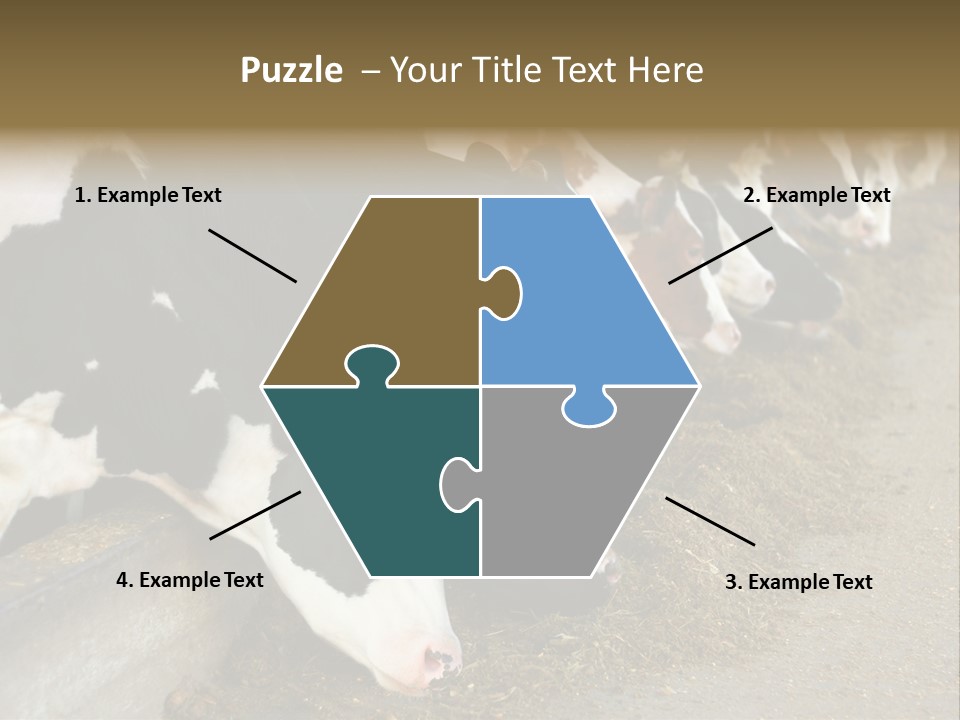 Domestic Animals Feeding Production PowerPoint Template