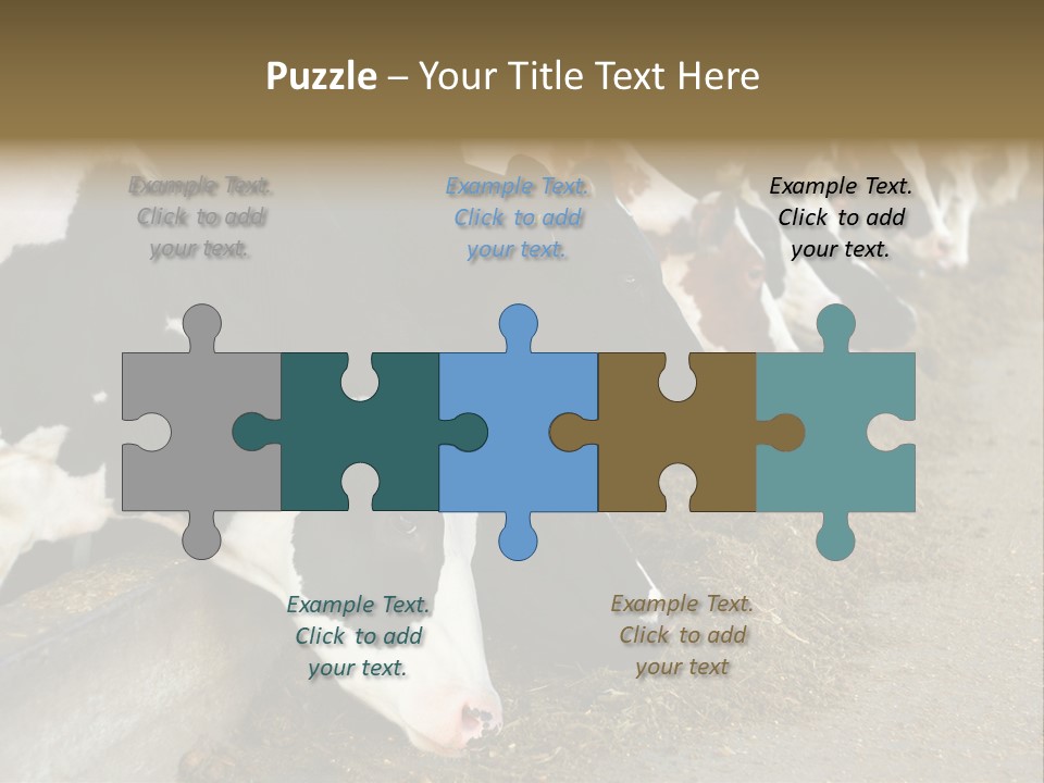 Domestic Animals Feeding Production PowerPoint Template