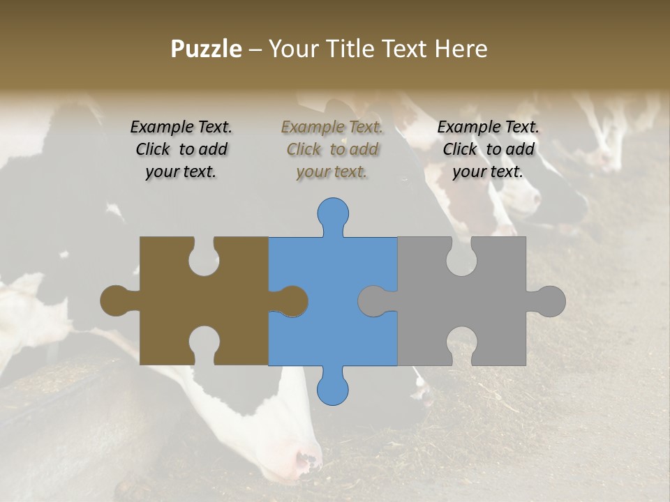 Domestic Animals Feeding Production PowerPoint Template