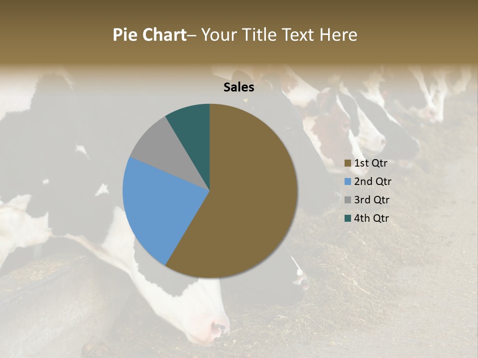 Domestic Animals Feeding Production PowerPoint Template
