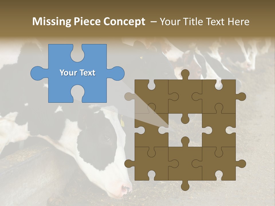 Domestic Animals Feeding Production PowerPoint Template