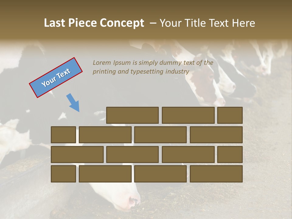 Domestic Animals Feeding Production PowerPoint Template