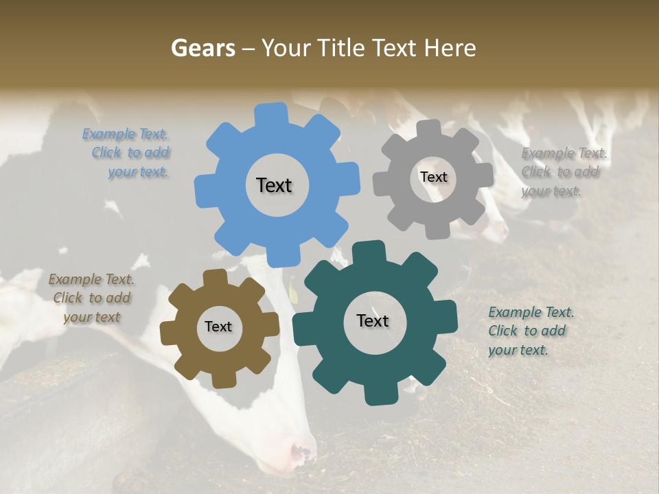 Domestic Animals Feeding Production PowerPoint Template