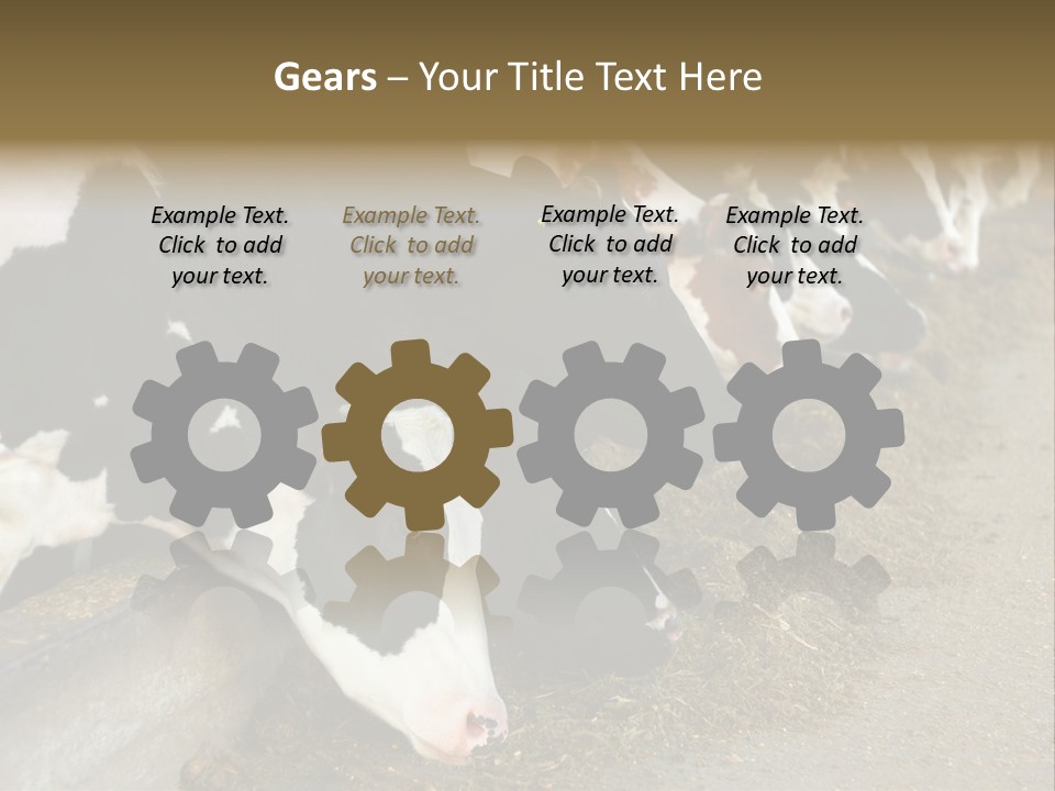 Domestic Animals Feeding Production PowerPoint Template