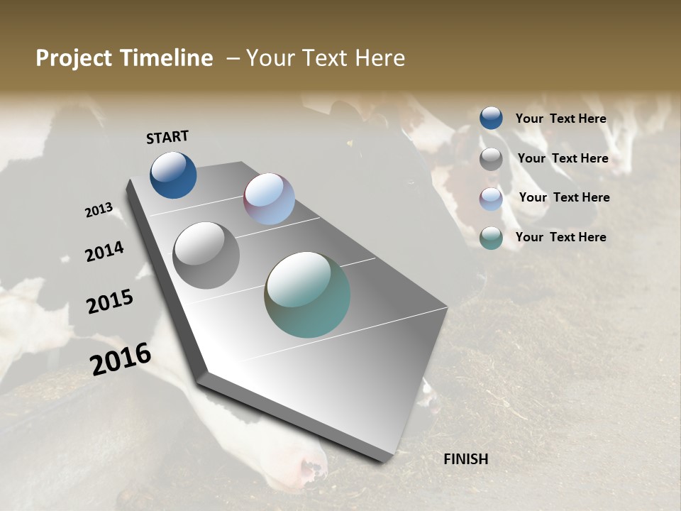 Domestic Animals Feeding Production PowerPoint Template